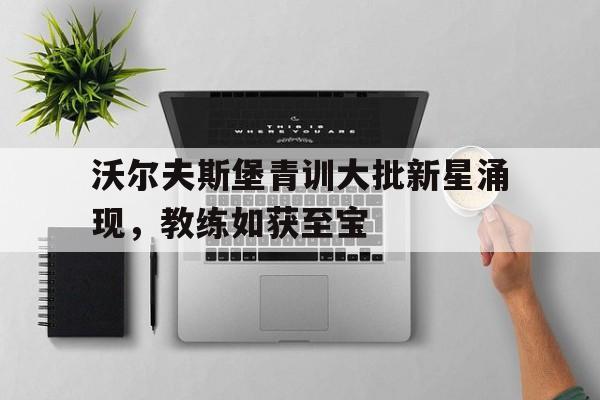 沃尔夫斯堡青训大批新星涌现，教练如获至宝的简单介绍